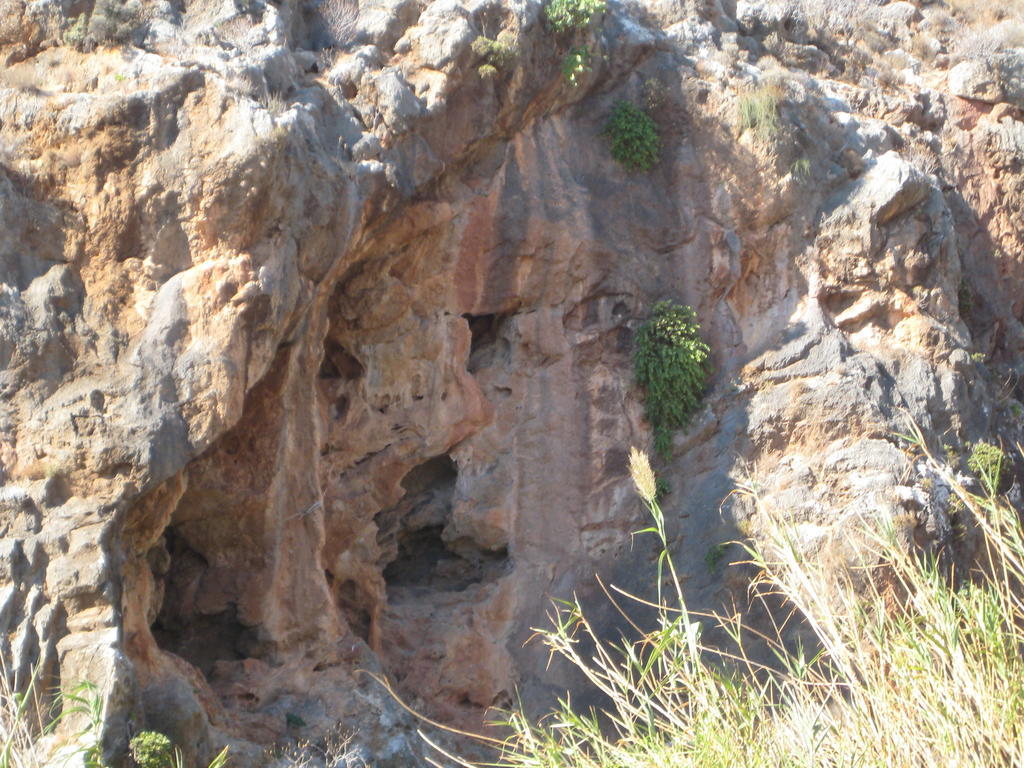 Coral Front Beach Káto Zákros 外观 照片